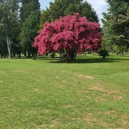 Golf Club Le Vigne *